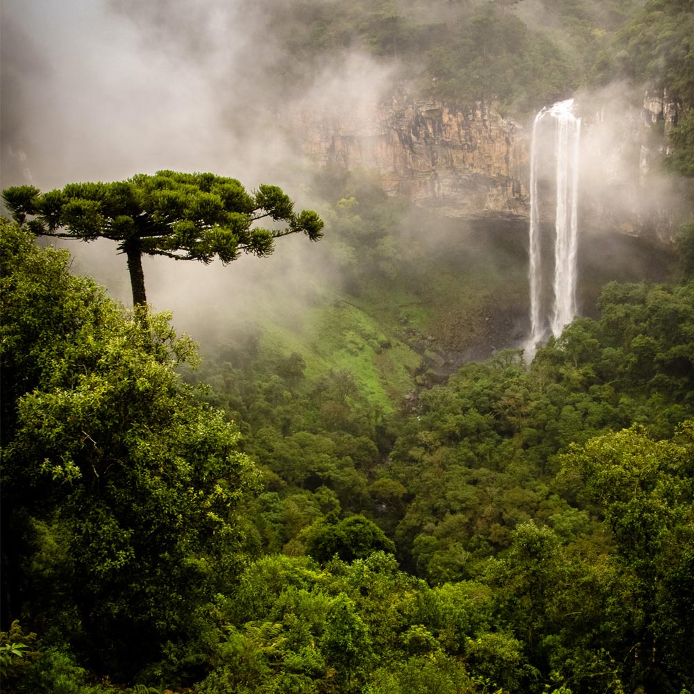 Foto: Elegância e conforto na Serra Gaúcha