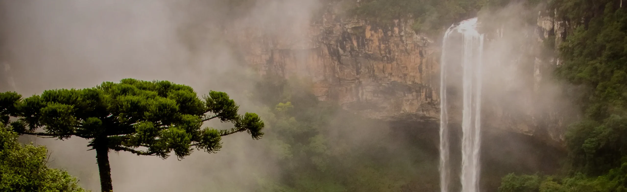 Foto: Multipropiedade Golden Tulip Canela